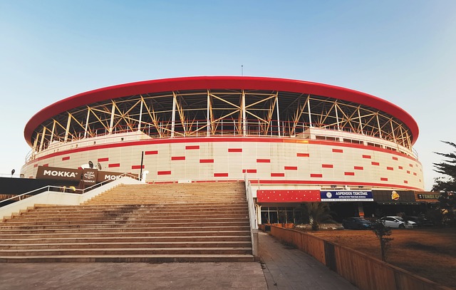 宣告重回欧 宣告重回欧