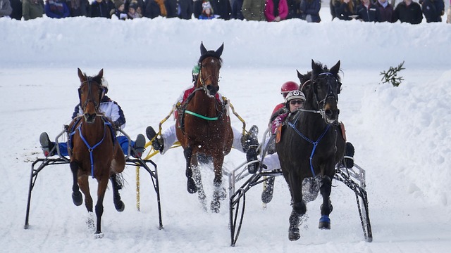 阿丽塔造型 阿丽塔造型