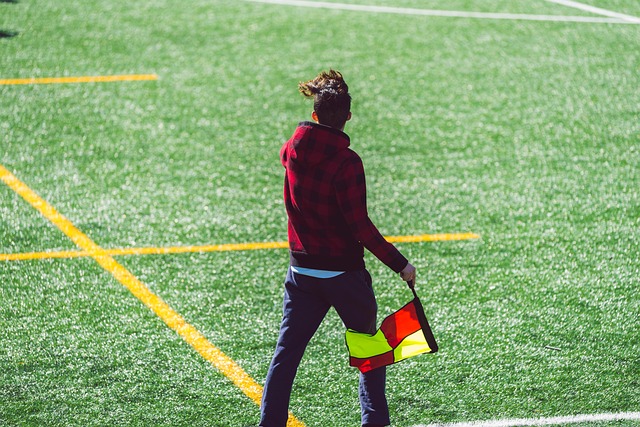 横扫叶士域 横扫叶士域