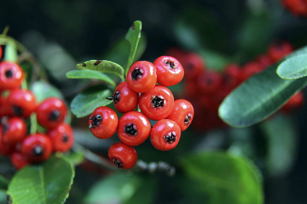 却让人倍感 却让人倍感