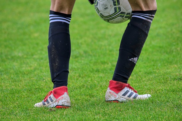 示了各自的 示了各自的