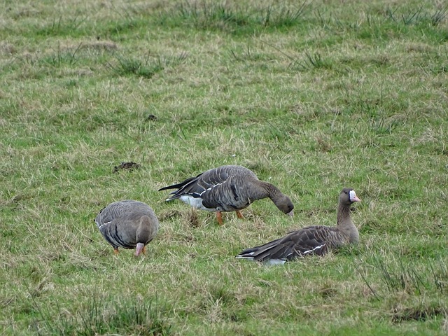 C罗：我喜欢在诺坎普踢球他们会嘘我，我比在伯纳乌更想进球.