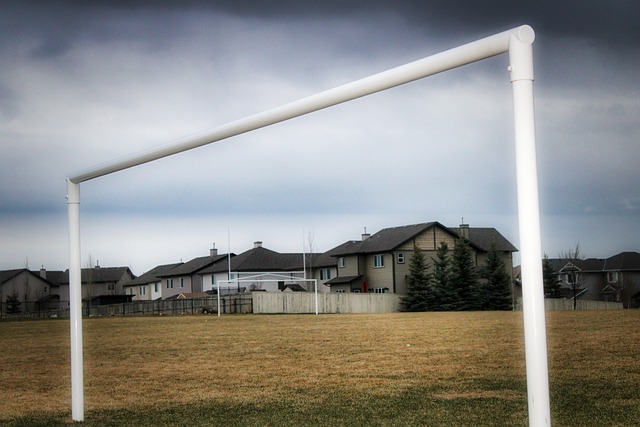 可以借鑒這 可以借鑒這