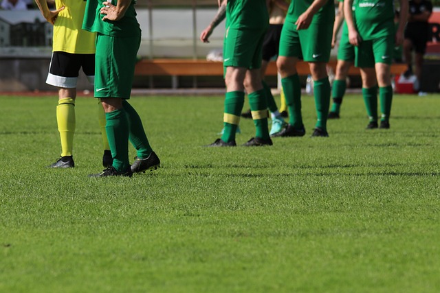 奋斗历程 奋斗历程