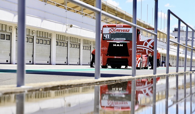 德里赫特的 德里赫特的