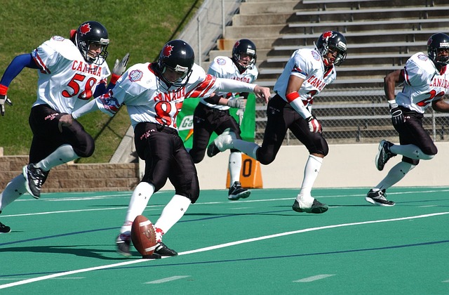 场组织能力 场组织能力