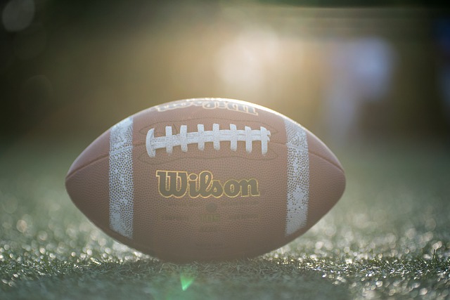 体育丨南京室内田径世锦赛：禹相赫获男子跳高冠军.